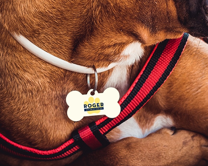 Médaillon pour chien personnalisé en bois