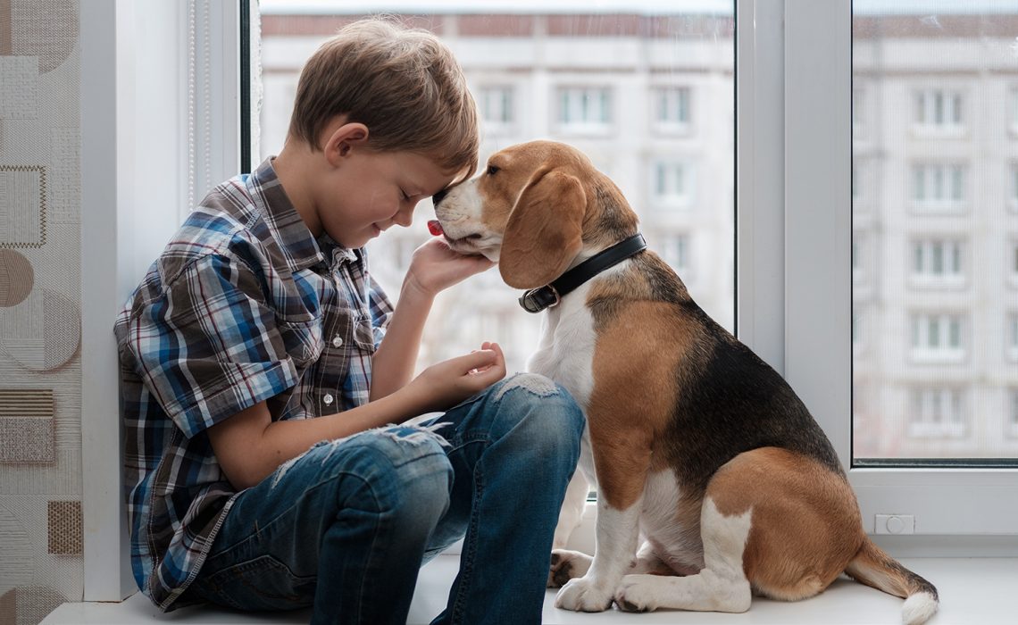 Journée internationale du chien