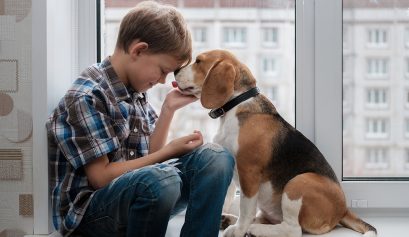 Journée internationale du chien