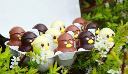 Boite d'oeufs avec des petits poussins en chocolat blanc noir et lait