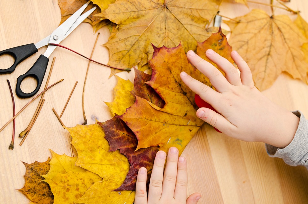 Découpage feuilles