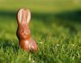 Lapin de Pâques en chocolat posé sur l'herbe