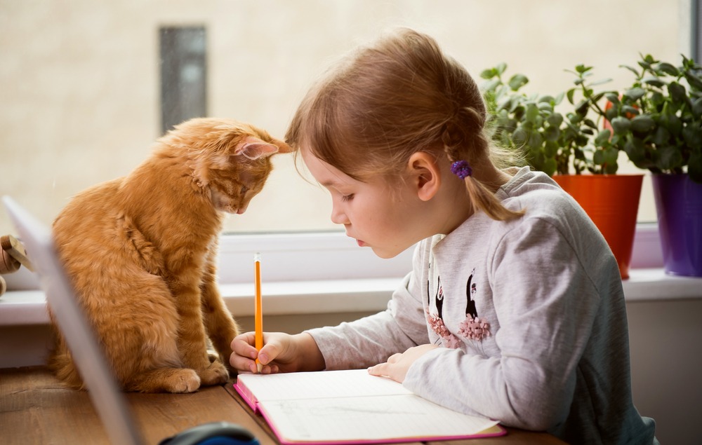 Petite fille qui écrit avec son chat qui la regarde