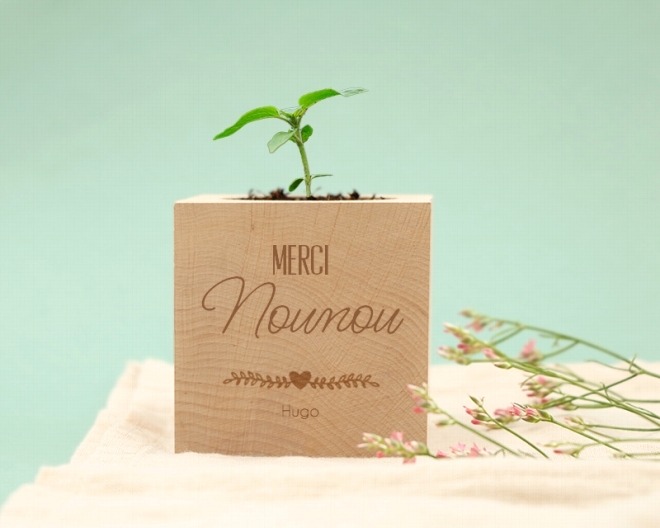 écocube merci nounou