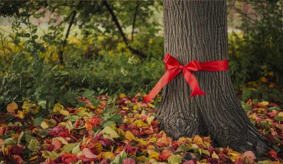cadeaux eco responsables