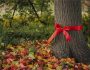 cadeaux eco responsables