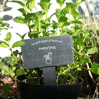 Mini-ardoise pour plante personnalisable - Potager