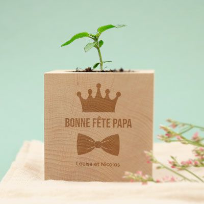Ecocube personnalisé - Papa Royal