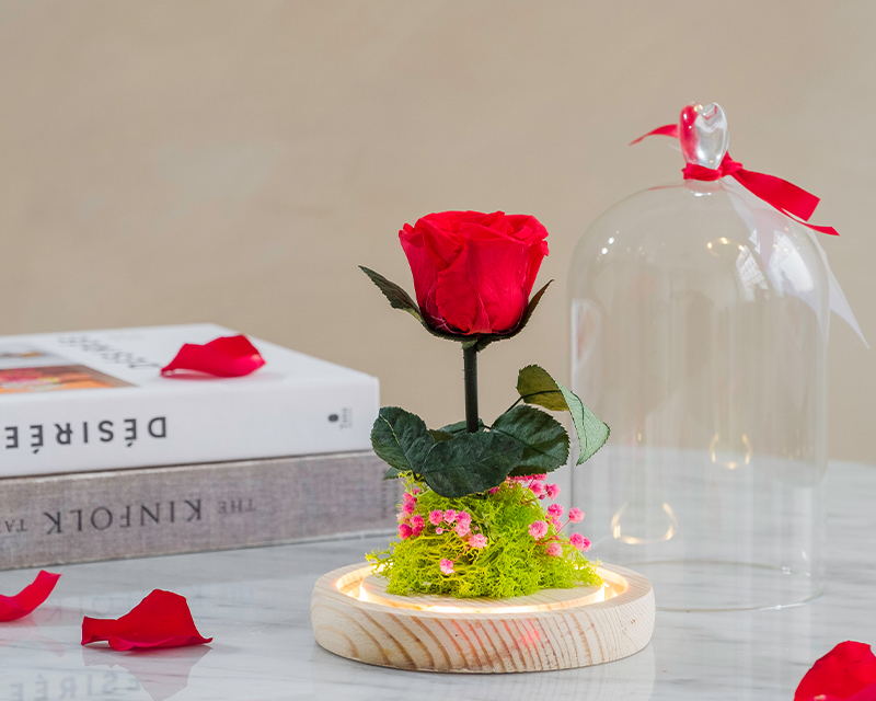 Rose sous cloche lumineuse avec Carte personnalisable