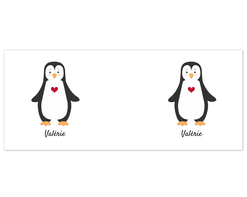 Lot de 2 mugs personnalisés - Pingouins