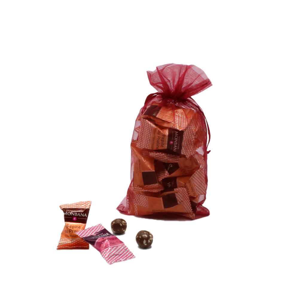Sachet de 20 chocolats Monbana