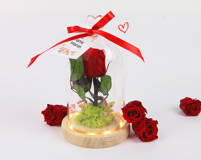 Rose sous cloche avec une carte personnalisée