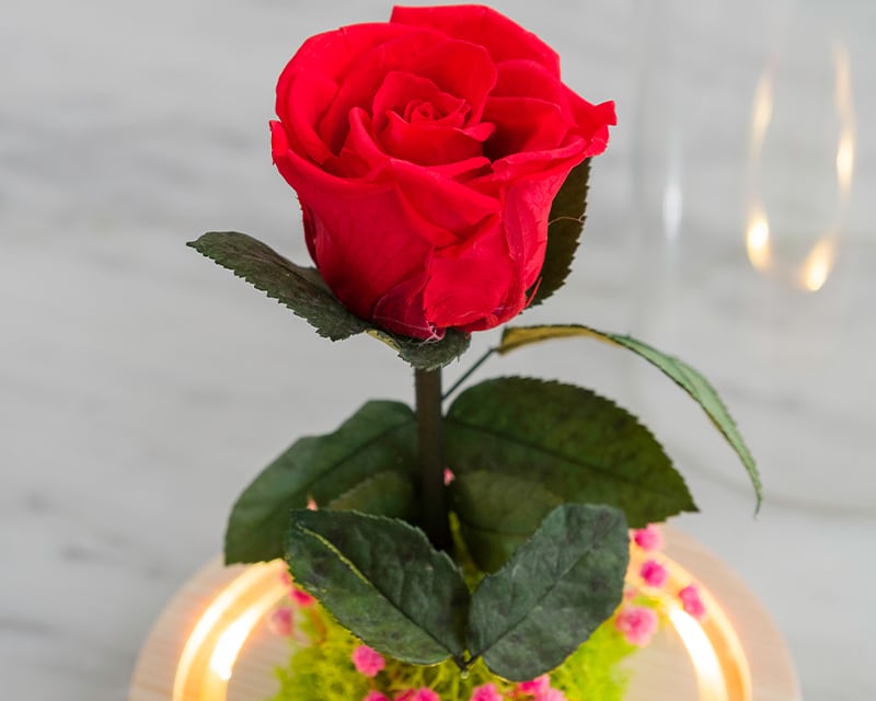 Rose éternelle sous cloche personnalisée | Cadeaux.com