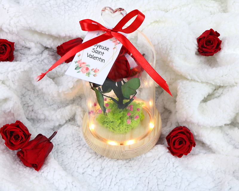 Rose sous cloche avec une carte personnalisée