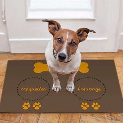 Tapis de gamelle pour chien