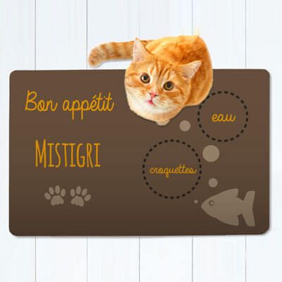 Tapis de gamelle pour chat