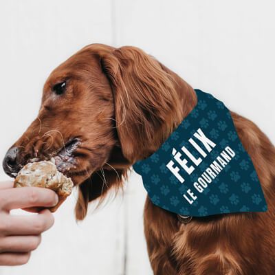 Bandana pour chien Personnalisable - Papattes