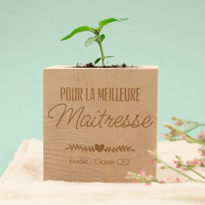 Ecocube personnalisé - Maîtresse, Maître, ATSEM, Nounou