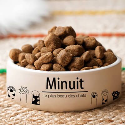 Gamelle pour chat Personnalisable - Pattes de chat