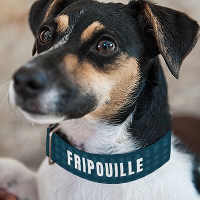 Medaille de collier pour chien à personnaliser