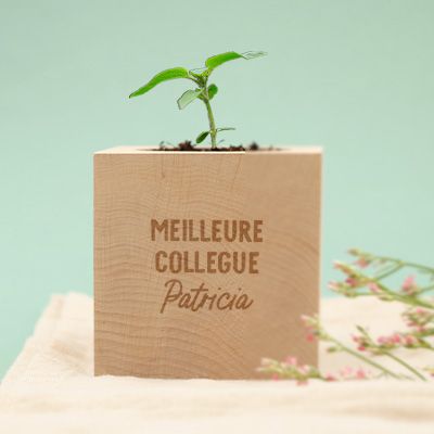 Ecocube personnalisé - Message