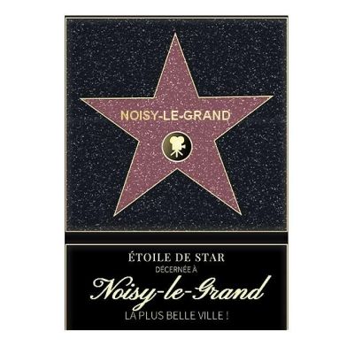 Affiche etoile de star personnalisé Noisy-le-Grand