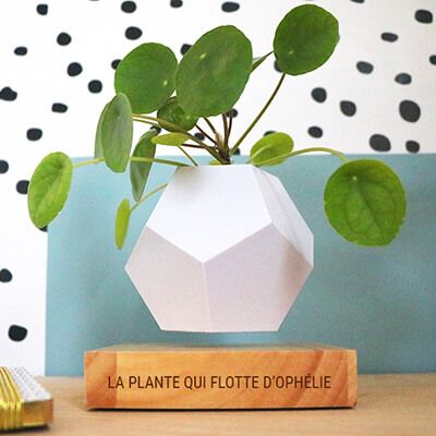Pot de fleur en lévitation personnalisable