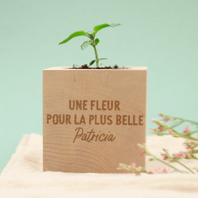 Ecocube personnalisé - Message