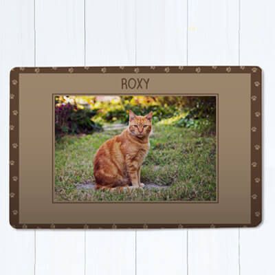 Tapis pour chat - Photo