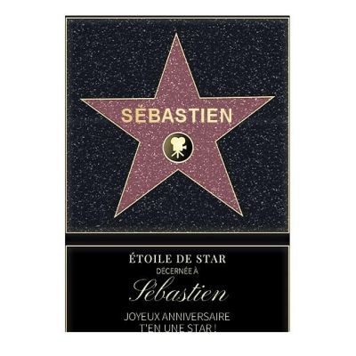 Affiche etoile de star personnalisée pour un Sébastien