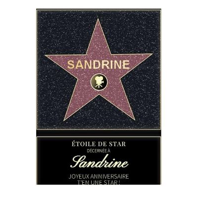 Affiche etoile de star personnalisée pour une Sandrine