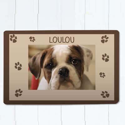 Tapis pour chien - Photo