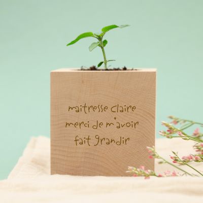 Ecocube personnalisé - Mots d'enfants pour maitresse