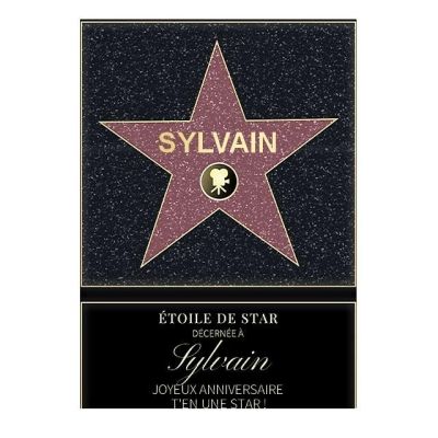 Affiche etoile de star personnalisée pour un Sylvain
