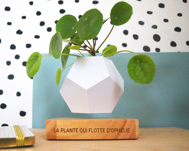 Pot pour plante en lévitation - Message