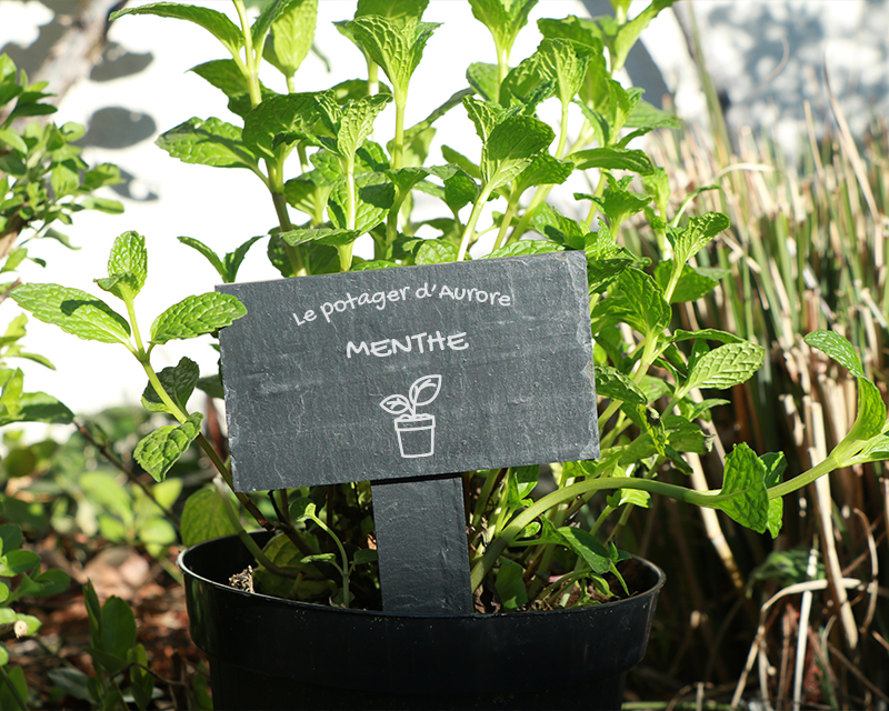 Mini-ardoise personnalisable - Potager