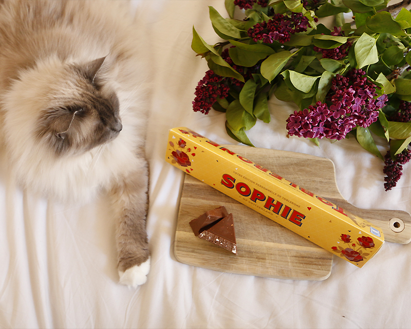 Toblerone géant personnalisé prénom Sophie