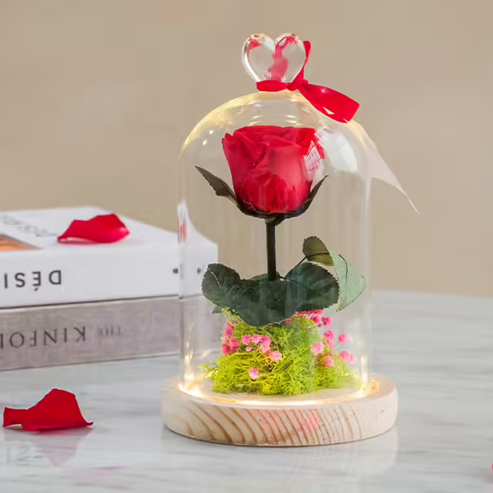 Rose éternelle sous cloche