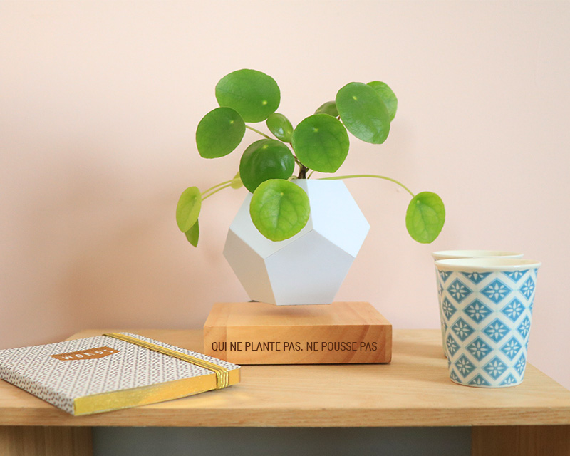 Pot pour plante en lévitation - Message
