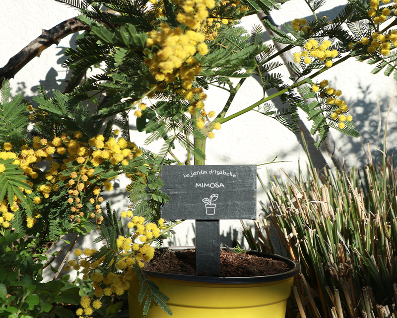 Mini-ardoise personnalisable - Potager