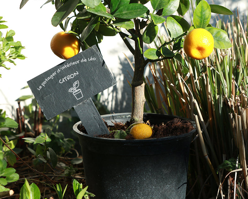 Mini-ardoise personnalisable - Potager