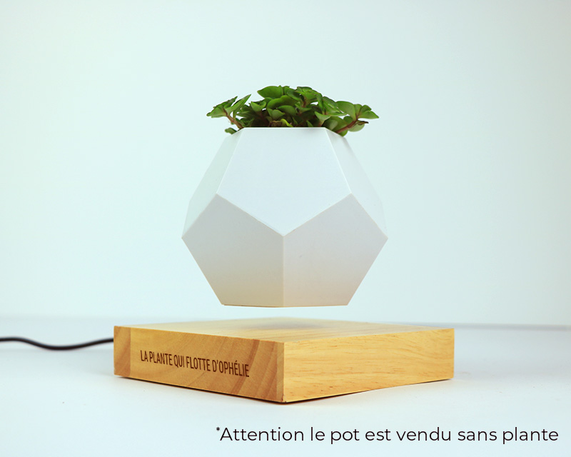 Pot pour plante en lévitation - Message