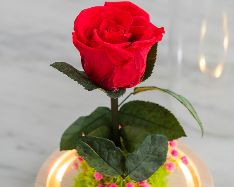 Rose éternelle sous cloche lumineuse avec carte personnalisée 