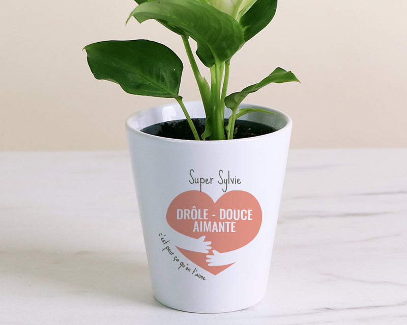 Pot de fleurs personnalisé C'est pour ça qu'on t'aime