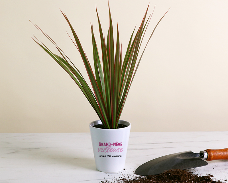 Cadeau personnalisé Fête des grands-mères 2025 : pot de fleurs en céramique blanche 'Grand Mère-veilleuse' avec une petite plante verte.